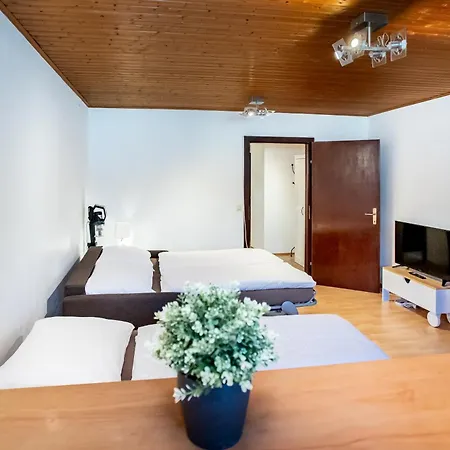 Citycenter - Traunkai Apartmán *