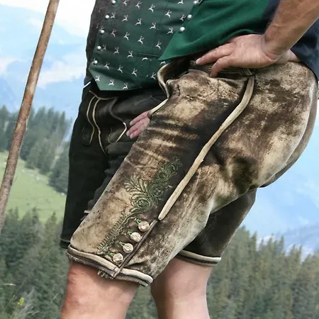 Citycenter - Traunkai 公寓